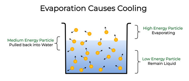 water under vacuum cooling